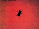 Biggest Thing Since Colossus - Otis Spann (2014, Vinyl New)