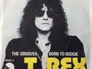 RARE T.REX 