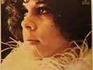 GAL COSTA 1969 ROGERIO DUPRAT PHILIPS BRAZIL LP ORIG MONO TROPICALIA MUTANTES