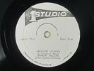 Ernest Wilson - Freedom Fighter 12