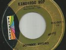 ROCKABILLY SURF TITTYSHAKER INSTRO -JOHNNY ZORRO - BONGO GUITAR  -HEAR- INFINITY