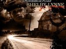 Shelby Lynne - Revelation Road