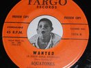 Doo Wop Rocker 45 THE AQUATONES Crazy For You / Wanted FARGO #1016 PROMO RARE
