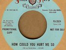 MARVELLS: How Could You Hurt Me 45 Finer Arts sweet soul hear
