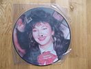 KATE BUSH Interview Picture Disc KB1011A 1987 Limited Edition