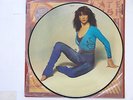 THE KICK INSIDE - KATE BUSH - PICTURE DISC 1ST ISSUE - EMCP3223 1978 - EX