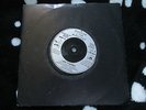 Siouxsie & The Banshees ?– The Passenger SHEDJ 12 PROMO UK 7inch 45 single