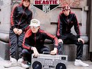 BEASTIE BOYS - SOLID GOLD HITS:  2LP SET IN GATEFOLD SLEEVE (2005)