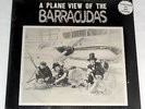 Barracudas: A Plane View of the Barracudas [Original Sealed & Unplayed Copy]