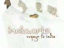 INDIA ARIE - VOYAGE TO INDIA  VINYL LP  15 TRACKS  NEW+