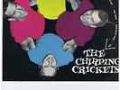 THE CHIRPING CRICKETS (BUDDY HOLLY) 1958 RARE  AUSTRALIAN ORIGINAL BL-8001