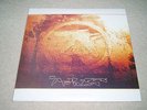 APHEX TWIN SELECTED AMBIENT WORKS VOLUME II 3 LP TRIPLE VINYL BOX SET RARE NEW