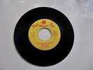 TERRY LEE & THE REVELERS - RARE GARAGE ROCKER - RED FOX 101 - HEY BABY,HEY SUGAR