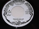 Tripsichord Music Box: Times And Seasons / Sunday The Third 45- Garage Psych