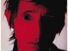Pop Crimes - Rowland S Howard (2014, Vinyl NEW)