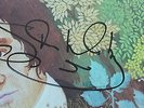 CHICKEN SHACK - Imagination Lady (HAND-SIGNED by STAN WEBB) BLUES