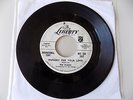 THE PLAIDS HUNGRY FOR YOUR LOVE PROMO COPY 45 CHIT-CHAT SOUNDS GREAT