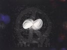 A Sunday Night Above The Rain - MARILLION [3x LP]