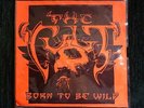 The Cult, 7