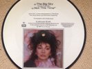 KATE BUSH THE BIG SKY/NOT THIS TIME 7