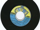 ERROL DUNKLEY / PLEASE STOP YOUR LYING / JO GIBBS RE / EX