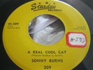 Hear Rare Rockabilly Bopper 45 : Sonny Burns   A Real Cool Cat   Starday 209