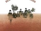 Blood Sweat & Tears [Vinyl New]