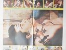 THE DECLINE OF WESTERN CIVILIZATION Cinema poster 1983 BLACK FLAG-GERMS.....