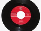 THE CASTELLS Rare Surf 45    I Do    Brian Wilson (Beach Boys) Produced RARE