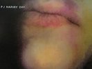PJ HARVEY DRY EURO REPRO SEALED IN BRAND NEW CONDITION