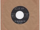 DC TEEN R&R BARRY DARVELL Seek & You Will Find/You Can Have Her COLT 45 M- HEAR