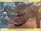 HOWARD BLAKE - AN ELEPHANT CALLED SLOWLY US LP Orig. BELL Funk Breaks Samples RA