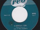 Canada Garage Punk Fuzz Psych 45 - M.G. & The ESCORTS - A Someday Fool