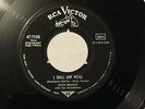 Elvis Presley RCA Nipper  I got You / Don't 7