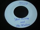 Peter Tosh & The Wailers - Them A Fi Get A Beaten / Fire Fire - Blank 45 Rare