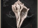 ROBERT PLANT-LULLABY AND...THE CEASELESS ROAR-VINYL LP3 NONESUCH NEU
