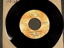 45 Record-Baby Earl Trini-Dads-Everybody Do The Ska-SPQR-Promo-1960s, Mint-, EMX