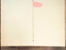 Wire - Pink Flag - UK VINYL LP - HARVEST VG+/VG+ SHSP 4076 Rare Punk
