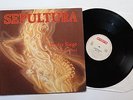 SEPULTURA - Arise 12