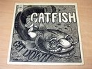 EX-   Catfish/Get Down/1970 CBS LP