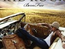 KID ROCK Born Free 2LP VINYL W/Bonus CD NEW