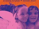 Smashing Pumpkins - Siamese Dream (Lp) [Vinyl New]