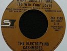 RARE NORTHERN SOUL MODERN 45 - THE ELECTRIFYING CASHMERES - WHAT DOES IT TAKE