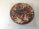 Survivor Eye Of The Tiger PICTURE DISC Scotti Bros. VINYL SCTA 11-2411 RARE 7