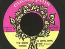 THE GOOD THINGS Soul Dancer/Garage MEGA-RARE Michigan Private 1969 45 HEAR