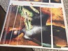 Further Seems Forever How To Start A Fire Vinyl Black Oop Never Played Copeland