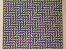Animal Collective - Merriweather Post Pavilion - 12