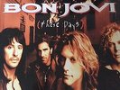 Bon Jovi These days vinyl record  NM