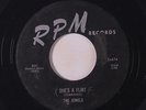 JEWELS: She's A Flirt / B. Bomb Baby 45 (faint wol) rare Vocal Groups