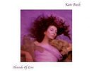 Kate Bush - Hounds Of Love +++Vinyl 180g+++Audio Fidelity AFZLP 087++NEU+++OVP